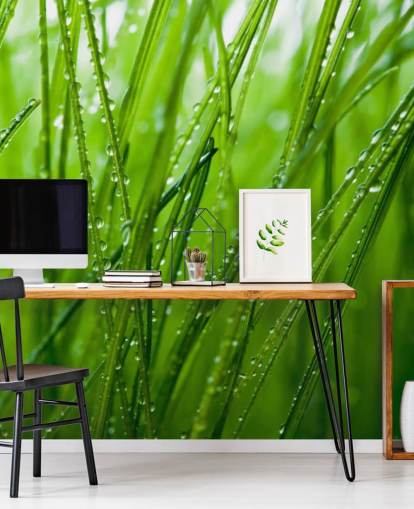 Dugg Dekket Nærbilde av Grass Mural