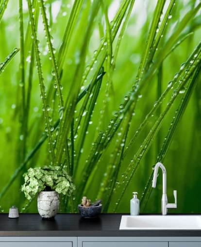 Closeup coberto de orvalho do mural de grama