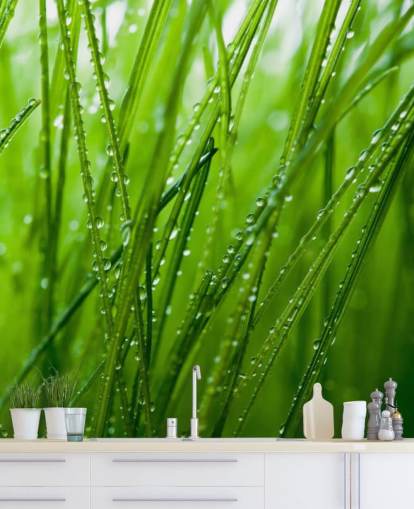 Dew Covered Closeup of Grass Mural