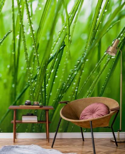 Tau bedeckte Nahaufnahme von Gras Fototapete Tau bedeckte Nahaufnahme von Gras Fototapete