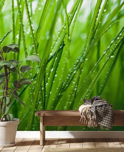 Dug Dækket Closeup af Grass Mural