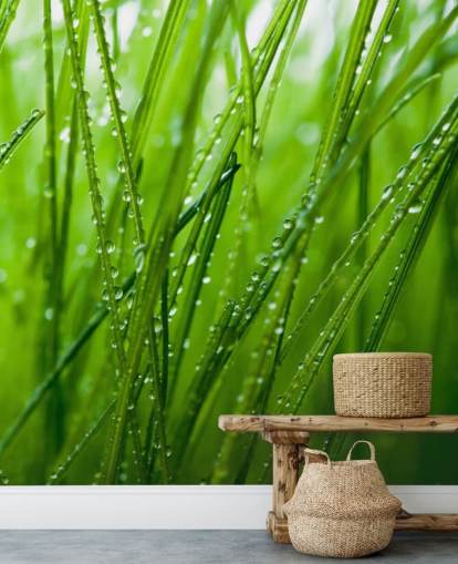Dew Covered Closeup of Grass Mural