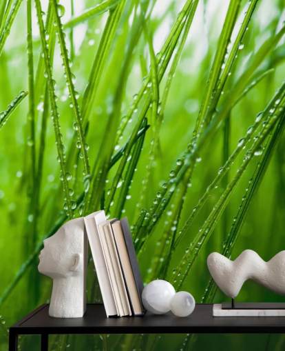 Grass Grass Wallpaper