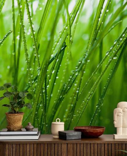 Grass Grass Wallpaper