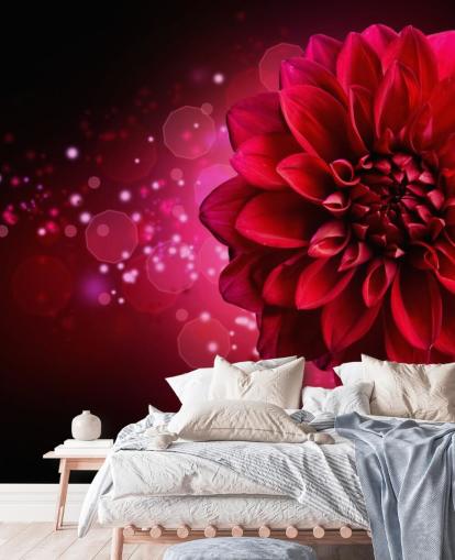 Stor rød dahlia blomsterbakgrunn Stor rød dahlia blomsterbakgrunn