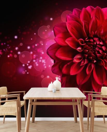 Stor röd dahlia blomma tapet