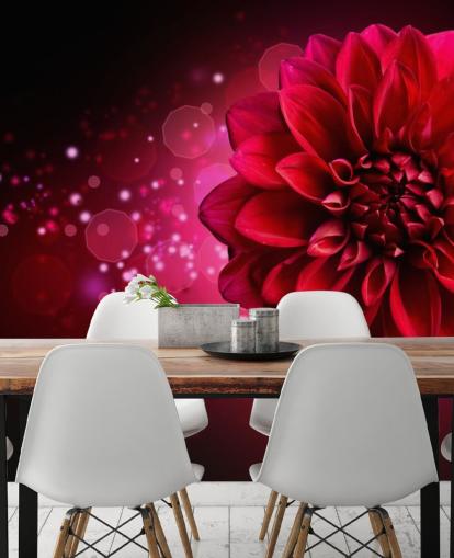 Papel de parede de flor de dália vermelha grande