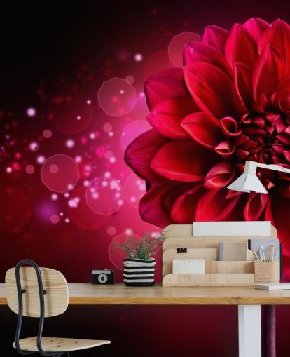 Stor röd dahlia blomma tapet Stor röd dahlia blomma tapet