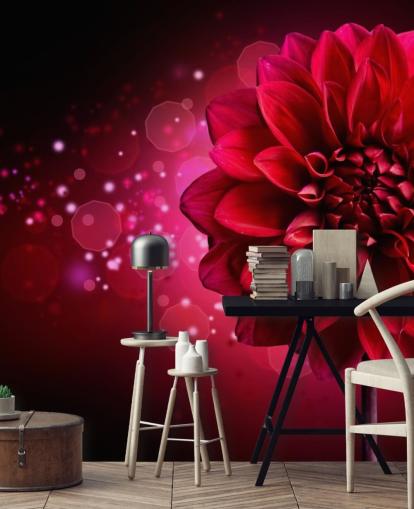 Papel de parede de flor de dália vermelha grande