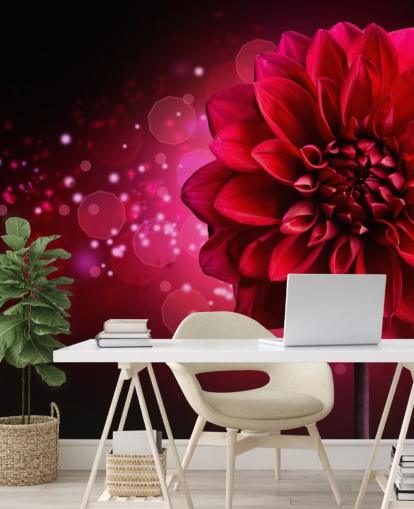 Big Red Dahlia Flower Wallpaper