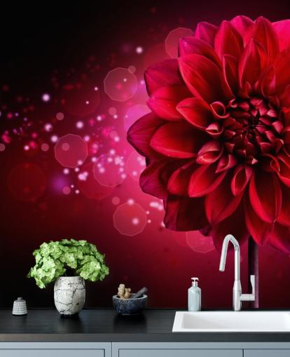 Stor rød dahlia blomst tapet Stor rød dahlia blomst tapet