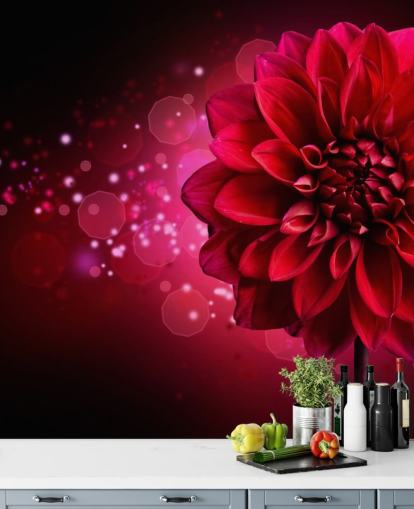 Fondo de pantalla de flores de dalia roja grande