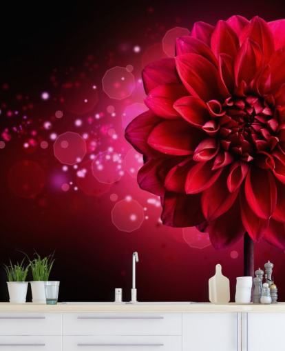 Stor rød dahlia blomst tapet