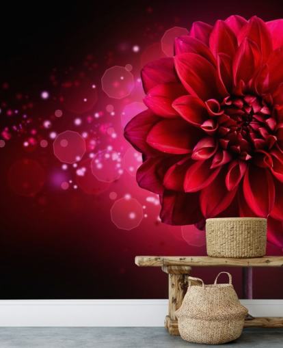 Stor rød dahlia blomsterbakgrunn