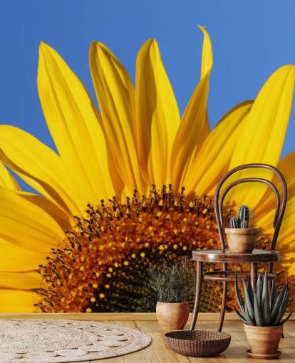 Large Half of Sunflower Wallpaper