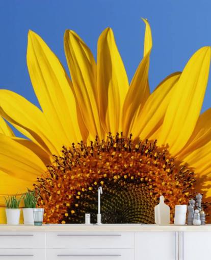 Large Half of Sunflower Wallpaper
