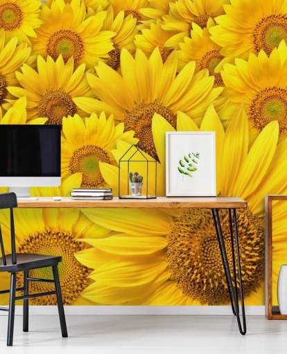 Nahaufnahme Sonnenblumen Fototapete Nahaufnahme Sonnenblumen Fototapete