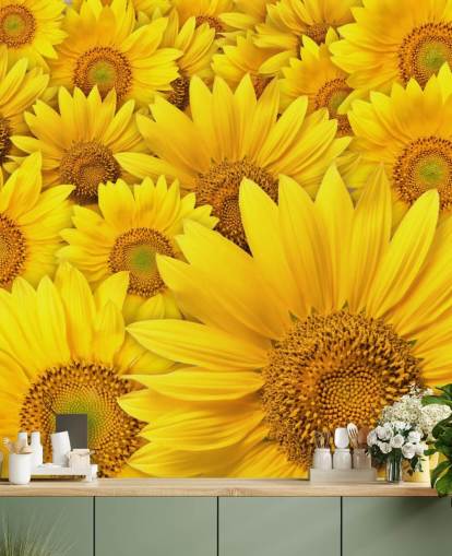 Mural de pared Girasoles de cerca