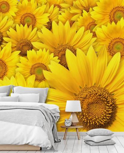 Mural de pared Girasoles de cerca Mural de pared Girasoles de cerca