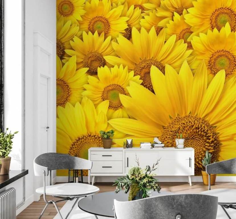 Sunflower Wallpaper & Wall Murals | Wallsauce US