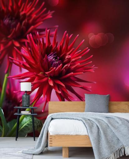 Dark Pink Dahlia Flower Wall Mural Dark Pink Dahlia Flower Wall Mural