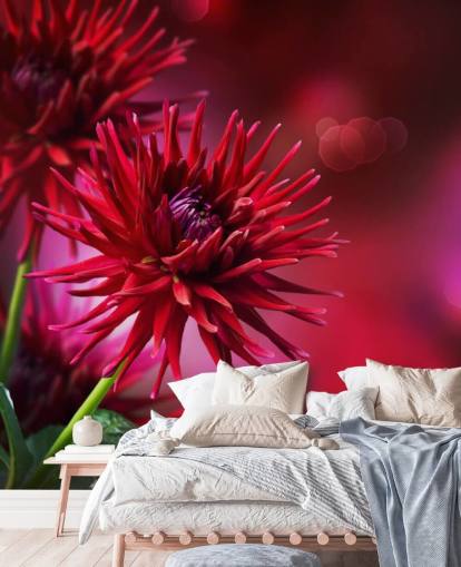Dark Pink Dahlia Flower Wall Mural