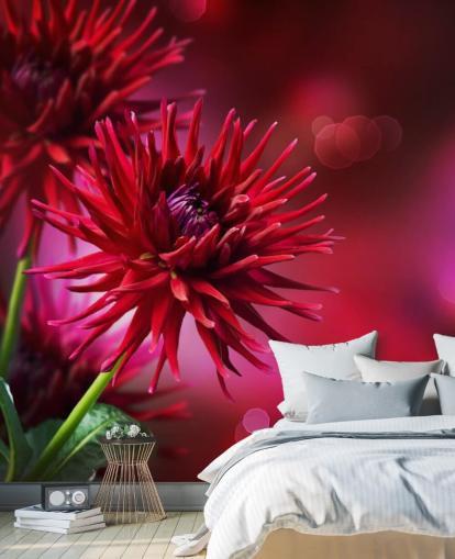 Dark Pink Dahlia Flower Wall Mural