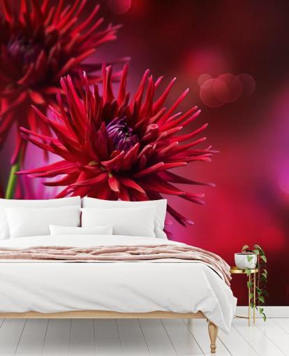 Dark Pink Dahlia Flower Wall Mural