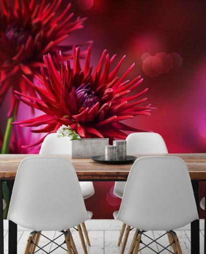 Dark Pink Dahlia Flower Wall Mural