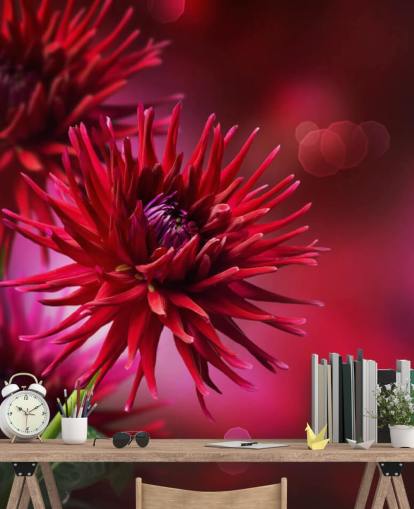 Dark Pink Dahlia Flower Wall Mural