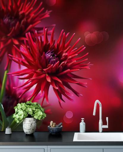 Dark Pink Dahlia Flower Wall Mural