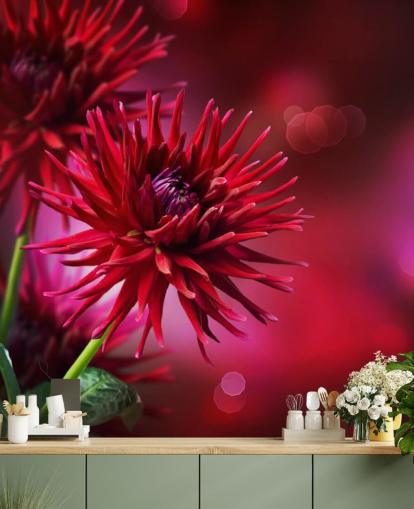 Dark Pink Dahlia Flower Wall Mural