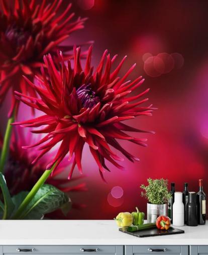 Dark Pink Dahlia Flower Wall Mural
