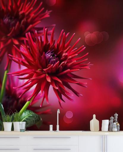 Dark Pink Dahlia Flower Wall Mural