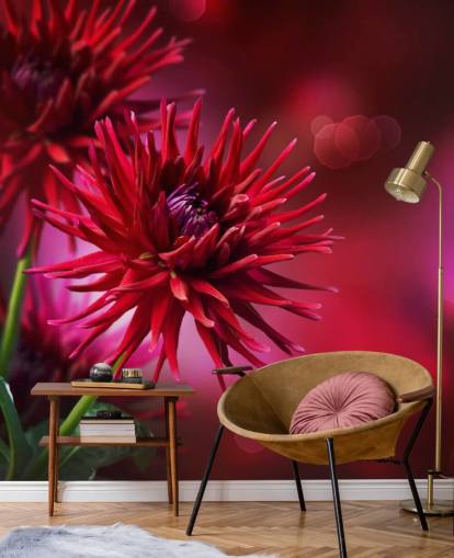 Dark Pink Dahlia Flower Wall Mural