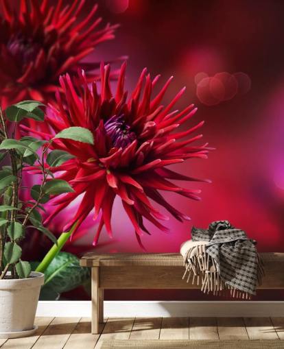 Dark Pink Dahlia Flower Wall Mural