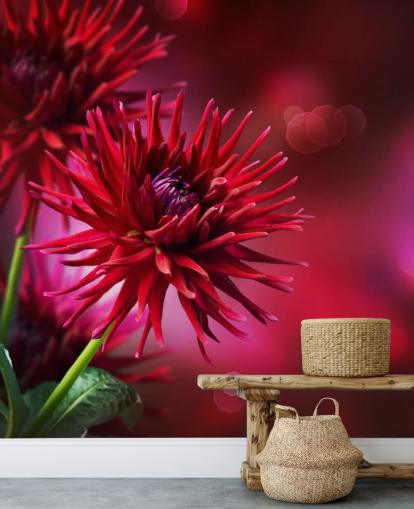 Tumma vaaleanpunainen Dahlia kukka seinämaalaus