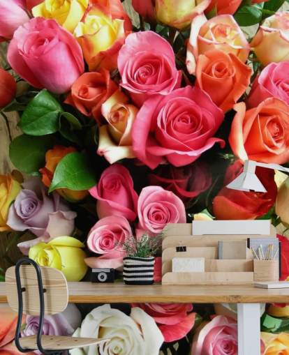 Farbige Rosen Fototapete
