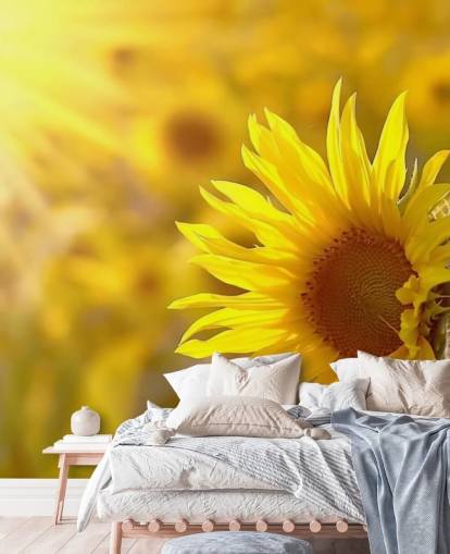 Zonnebloem bij Sunrise Behang Zonnebloem bij Sunrise Behang