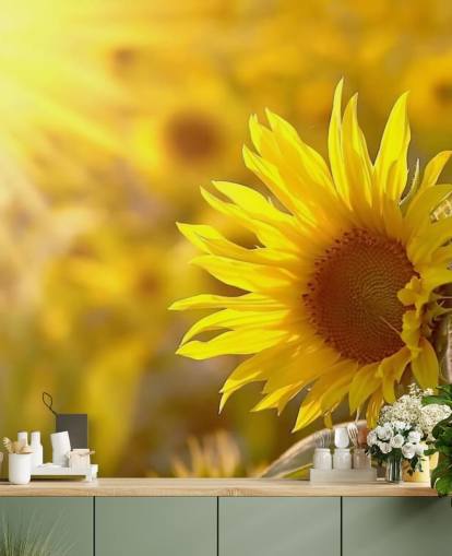 Sfondo Girasole all'alba