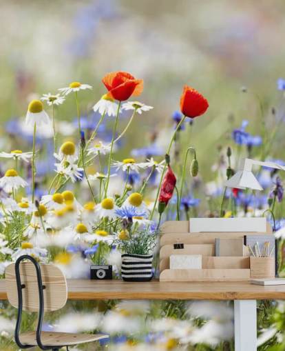Wilde Blumen Feld Fototapete