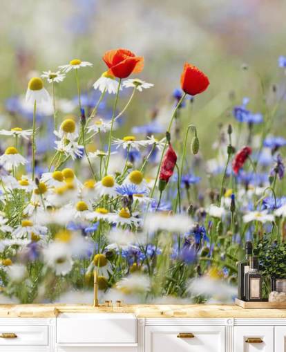Wild Flowers Field Wall Mural Wild Flowers Field Wall Mural