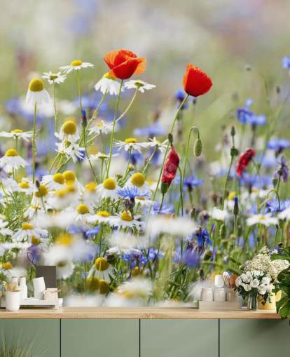 Wild Flowers Field Wall Mural