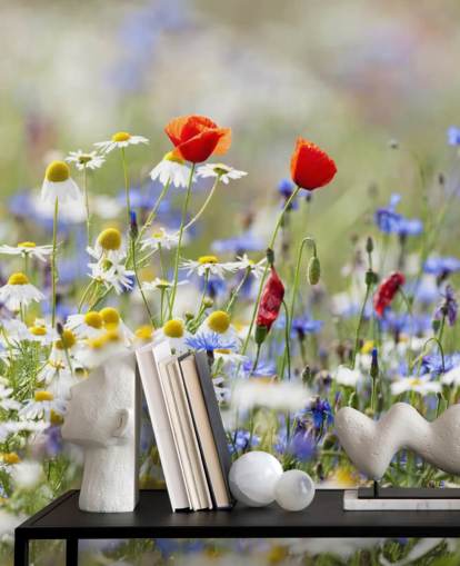 Wild Flower Meadow Flower Wallpaper