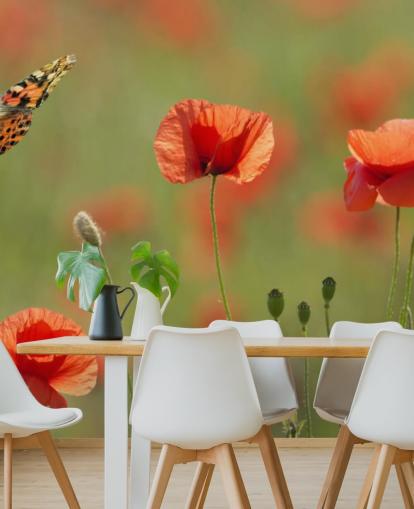 Schmetterling und Mohnblumen Fototapete Schmetterling und Mohnblumen Fototapete