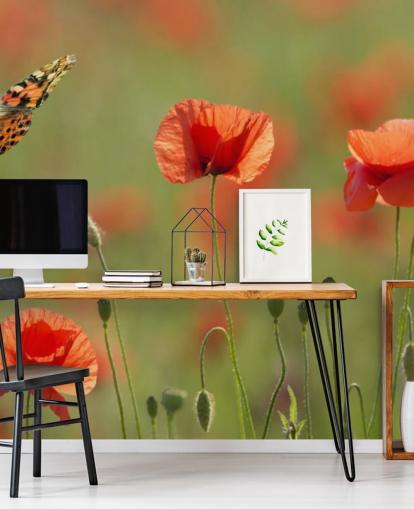 Schmetterling und Mohnblumen Fototapete