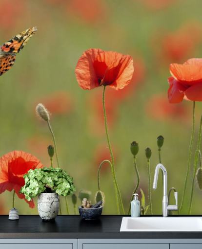 Décoration murale Papillons et coquelicots