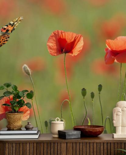 Butterfly and Poppies Wall Mural