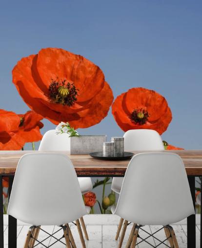 Fondo de pantalla de Amapolas rojas en un campo