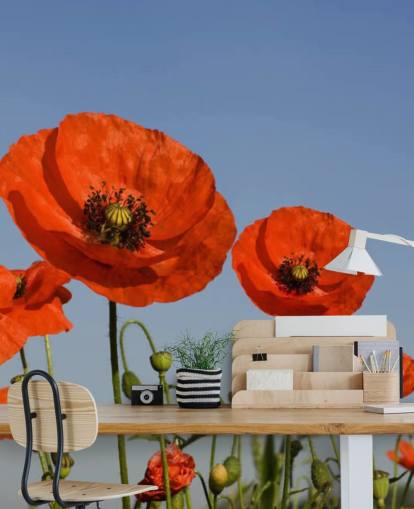 Red Poppies in a Field Wallpaper